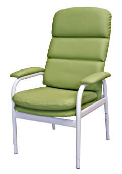 BC Chair in Kiwi Vinyl