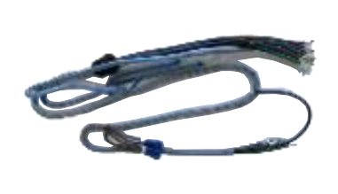 Harness Main