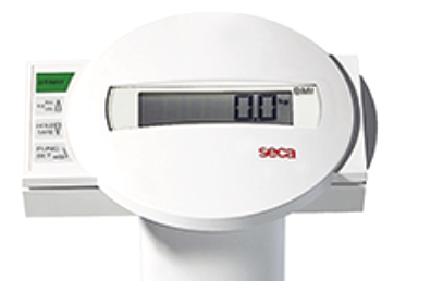 Seca 769 Column Scale