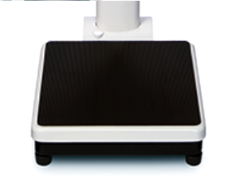 Seca 769 Column Scale