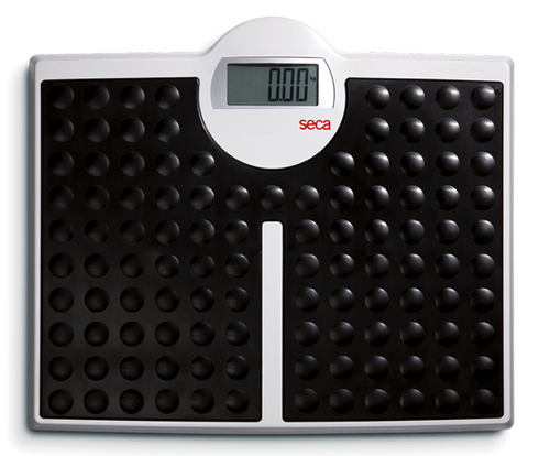 Seca 813 Electronic Flat Scales