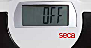 Seca 813 Electronic Flat Scales Display